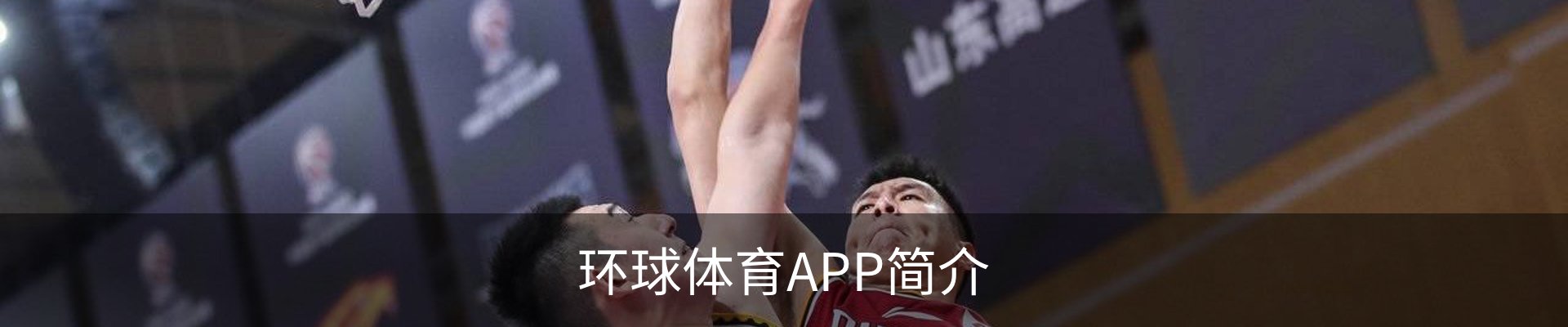 环球体育APP简介